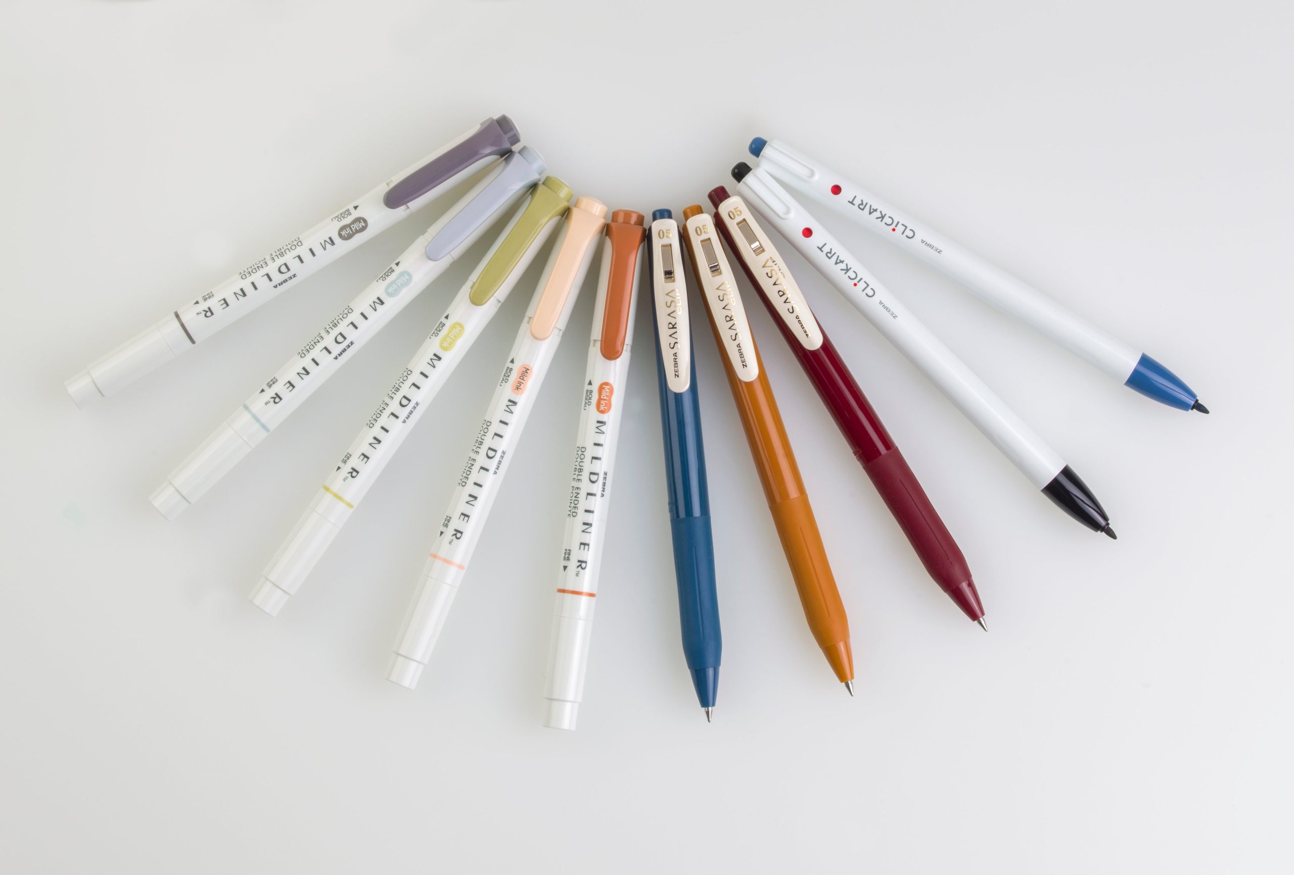 Zebra_12010_rainbow_02_1